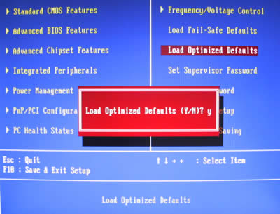 bios11.jpg